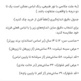 ست تیشرت و شلوارک دخترانه پپرتز (Pepperts) سایز ۱۲ تا ۱۴ سال | طرح پلنگ و نوشته فانتزی | نخ پنبه اعلا، نرم و خنک
