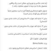 جوراب بچگانه نخی برند Roma Socks طرح خرس فانتزی سایز ۲ و ۴ (۱۳ و ۱۵ سانتیمتر) | لطیف، ضد حساسیت و با کیفیت عالی کد ۳۵۸
